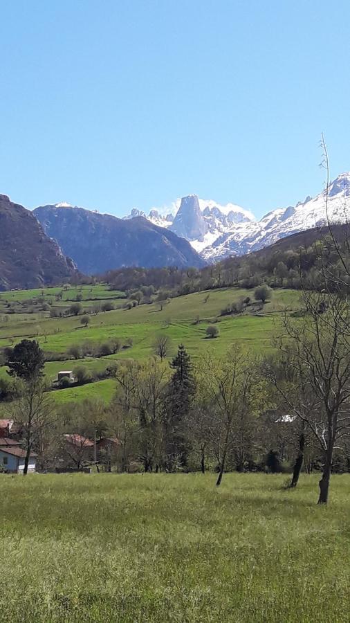 Vila La Casa De La Vega Arenas De Cabrales Exteriér fotografie